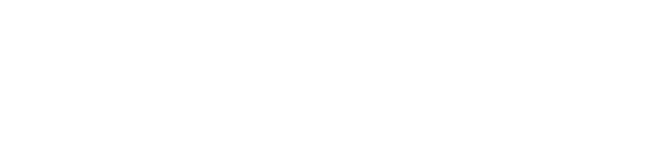 vireon logo